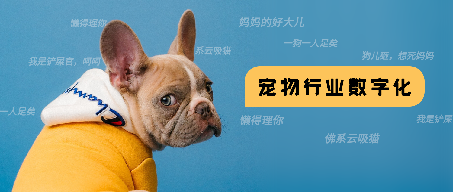 犀牛云解决方案:打造宠物生态产业链,实现企业数字化经营.png 犀牛云解决方案:打造宠物生态产业链,实现企业数字化经营.png