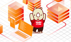 【犀牛云分享】SEO推广中，该如何进行网站的内容建设