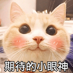 图片9.png
