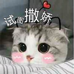 4.gif
