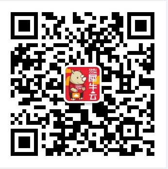 犀牛云-网站建设、SEO优化，关键词推广，口碑推广，全网营销