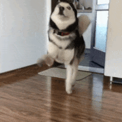 微信图片_20210924112610.gif 微信图片_20210924112610.gif
