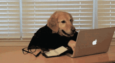 gif3.gif
