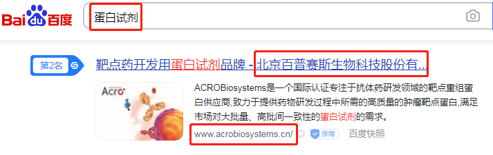 犀牛云网赢战车-SEO推广,网络优化,关键词优化 犀牛云网赢战车-SEO推广,网络优化,关键词优化