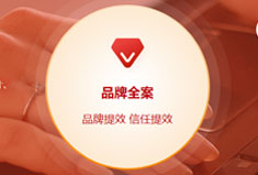 犀牛云从“方太”品牌占位，看企业如何通过搜索引擎占领市场