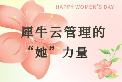 犀牛云管理中的“她”力量